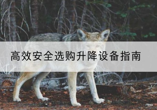 梅州升降货梯厂家推荐-*安全选购升降设备指南
