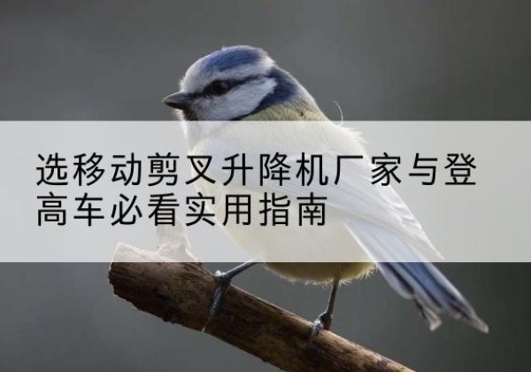 梅州电动升降机厂家-选移动剪叉升降机厂家与登高车必看实用指南