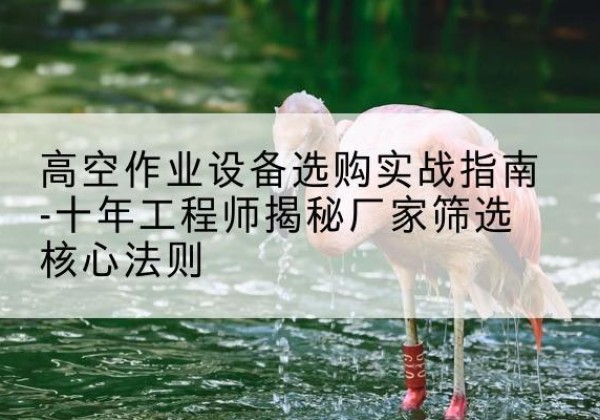梅州剪叉式升降机厂家-高空作业设备选购实战指南-十年工程师揭秘厂家筛选核心法则